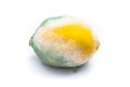 Lemon with mold Royalty Free Stock Photo