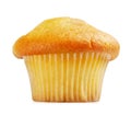 Lemon Muffin Royalty Free Stock Photo