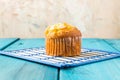 Lemon Muffin Royalty Free Stock Photo