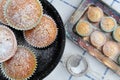 Lemon muffins powdered with sugar, mini lemon muffins