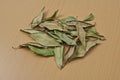 Lemon Myrtle dried Leaves Royalty Free Stock Photo