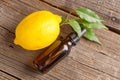 Lemon oil Royalty Free Stock Photo