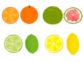 Citrus. Lemon, orange, grapefruit, lime. Vector