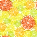Lemon Orange Grapefruit slice seamless pattern Watercolor pencil illustration Summer colorful citrus textural print Translucent Royalty Free Stock Photo