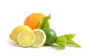 Lemon, orange and lime