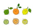 Lemon, orange and lime fruit with smile on white background. Whole citrus fetus and its half. Cartoon sketch. Freehand doodle Royalty Free Stock Photo