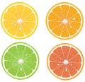 Lemon, orange, lime, grapefruit.