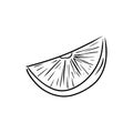 Lemon orange slice black hand drawn sketch illustration isolated on white background. Vector drawing in doodle lline art. Citrus Royalty Free Stock Photo