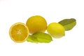 lemon and oranges with leaves on a white background, with one cut fruit Royalty Free Stock Photo