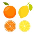 Lemon and oranges. Slices and whole lemon and orange fruits with stem and leaf