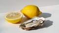 lemon and oyster on white background Royalty Free Stock Photo
