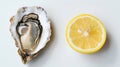 lemon and oyster on white background Royalty Free Stock Photo