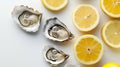 lemon and oyster on white background Royalty Free Stock Photo