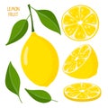 Lemon parts with leaves. Whole, half and slice of lemon isolated on white. Fresh Citrus fruit and inscription vector Royalty Free Stock Photo