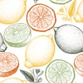 Citrus seamless pattern. Lemon background. Vector fruit illustration. Summer drawing for logo, icon, label, packaging design.