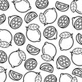 Lemon pattern background set. Collection icon lemons. Vector