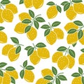 Lemon pattern background set. Collection icon lemons. Vector