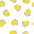 Lemon pattern. Hand sketch of the fruit