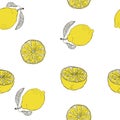 Lemon pattern. Hand sketch of the fruit