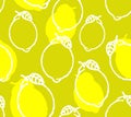 Lemon pattern seamless. lime background. Hand drawing fruit ornament