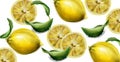 Lemon pattern Vector watercolor texture. Vintage fresh fruit backgrounds