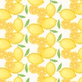 Lemon Pattern On White Background.