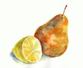 Lemon and pear, watercolor