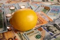 Lemon - Photo on Cash Bank Notes