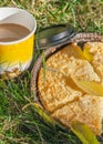 Lemon pie on the green grass with cup of coffee