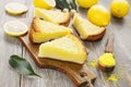 Lemon pie with yellow coconut Royalty Free Stock Photo