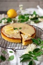 Lemon polenta cake elderflower white chocolate ganache