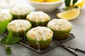 Lemon poppy seed muffins Royalty Free Stock Photo