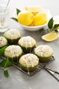 Lemon poppy seed muffins Royalty Free Stock Photo