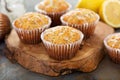 Lemon poppy seed muffins Royalty Free Stock Photo