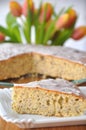 Lemon Poppyseed Cake Royalty Free Stock Photo