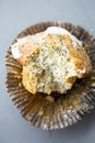 Lemon poppyseed muffin Royalty Free Stock Photo