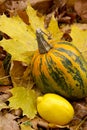 Lemon and pumpkin-yellow still-life