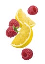 Lemon raspberry falling vertical composition Royalty Free Stock Photo