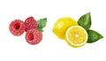 Lemon raspberry set fruit watercolor isolated on white background