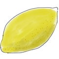 Lemon sketch, for menu design, posters, cards