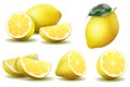 Lemon. Realistic lemon with green leaf whole and sliced set, sour fresh fruit, bright yellow peel, set of lemons vector