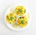 Lemon Rice South Indian Traditional and Popular Vegetarian Breakfast Royalty Free Stock Photo