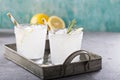 Lemon rosemary cocktail on a tray