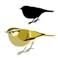 Lemon - rumped warbler bird vector illustration flat style silhouette