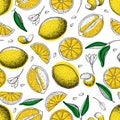 Lemon seamless pattern. Drawing lemon colorful background