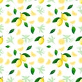 Lemon seamless pattern. Lemons cocktail citrus fruit texture summer yellow fresh repeating vector background
