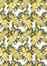 Lemon seamless pattern. Ripe citruses on white