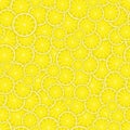 Lemon seamless pattern slices of ripe yellow lemons
