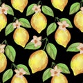 4063 lemon, Seamless pattern, watercolor illustration, lemon with branch, tropical fruit and flowers Royalty Free Stock Photo