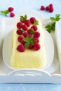 Lemon Semifreddo with raspberry Royalty Free Stock Photo